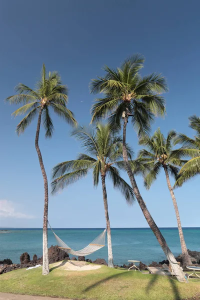 Hawaii Cennet Adası