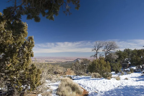 Winter in Grand Canyon