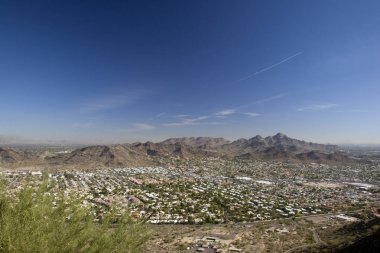 Phoenix, Doğu Yakası, Az