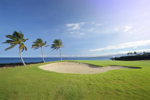 Şampiyonlar Golf Sahası, Hawaii