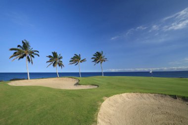 Hawaii Golf Sahası