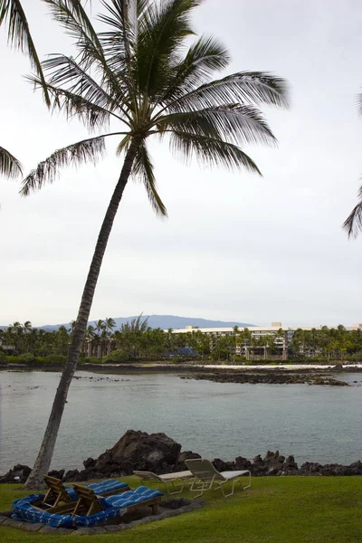 Hawaiian Palm ve Beach