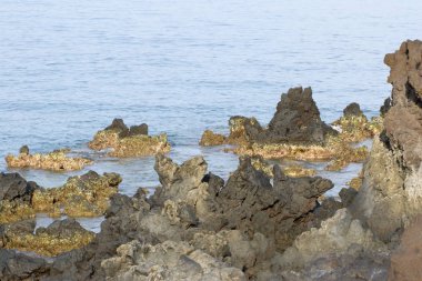 Hawaiian volkanik Beach