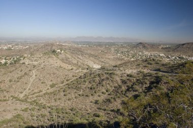 Phoenix yaşam tarzı, Az