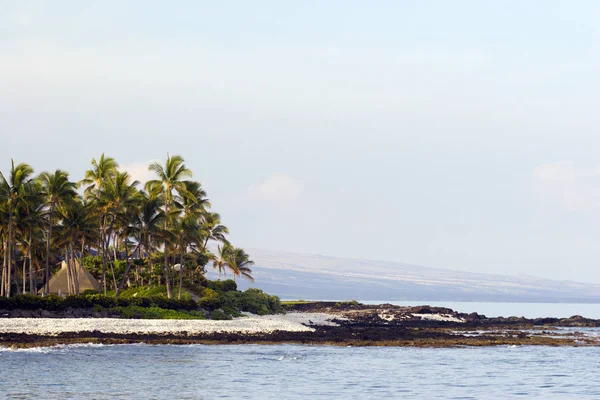Hawaiian volkanik Beach — Stok fotoğraf