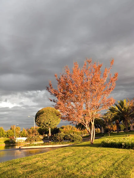 Çarpıcı sonbahar renkleri