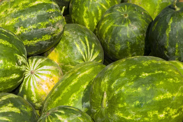 Wassermelone Grundstück zum Verkauf — Stockfoto