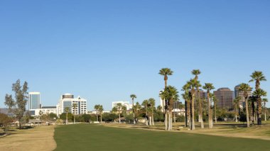 Yeşil çimenler merkezinde Phoenix, Az