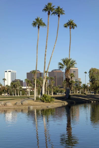 Park in Phoenix Downtown — Stock Photo, Image