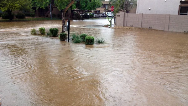 Inundación del Monzón Arizona —  Fotos de Stock