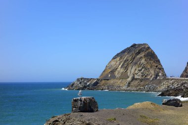 Point Mugu, Ca bakan martı