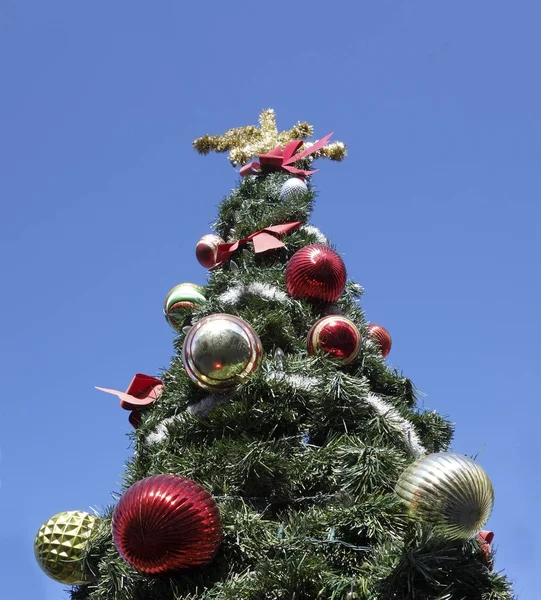 Outdoor Christmas Tree — Stock Photo, Image