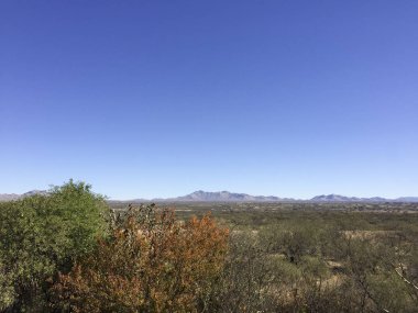 Benson dağ Vadisi, Az