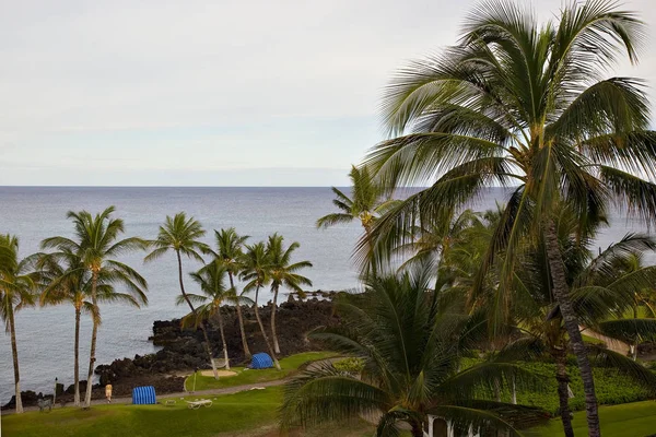 Гавайское утро Парадизе — стоковое фото