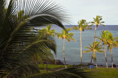 Hawaii Cennet plaj