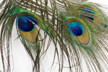 Meraklı gözlerden desen