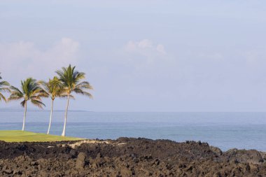 Hawaii rüya gibi sahil
