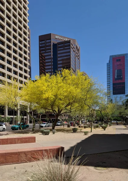Primavera en Phoenix Downtown, AZ — Foto de Stock