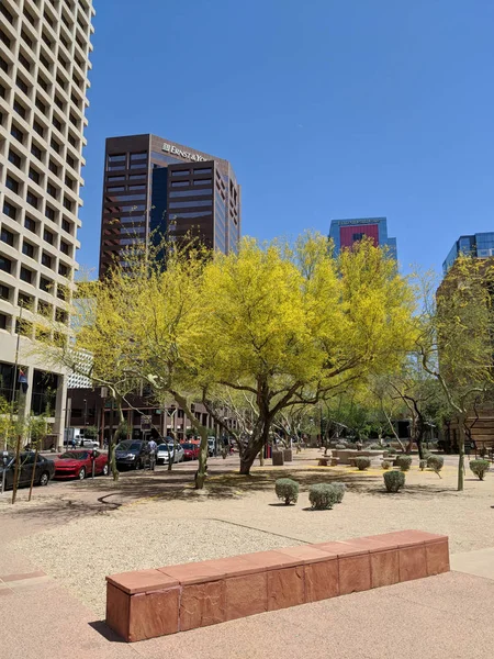 Primavera en Phoenix Downtown, AZ — Foto de Stock