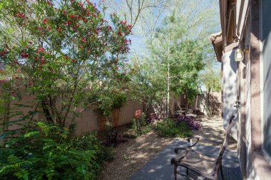 Xeriscaplı arka bahçesinde çarpıcı renkli çiçeklerle çiçek açan çöl bitkileri, Phoenix, AZ