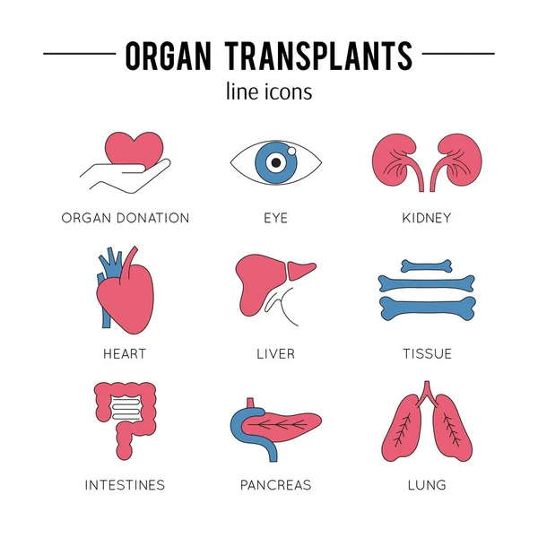 Szerv transzplantáció ikon készlet — Stock Vector