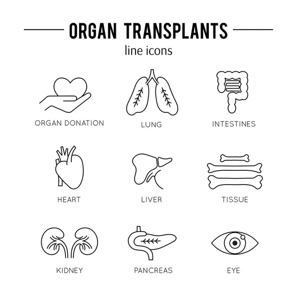 Organ nakli Icon set — Stok Vektör