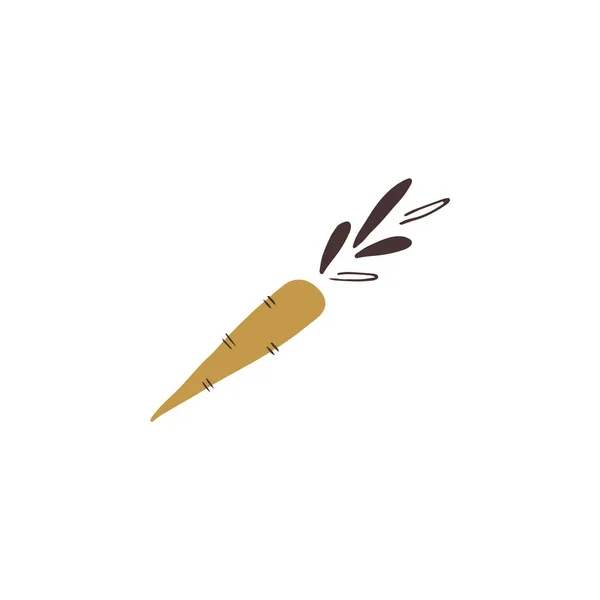 Vector dibujado a mano zanahoria — Vector de stock