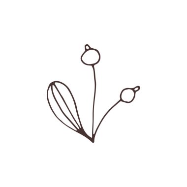 Vektör Noel çiçek öğe