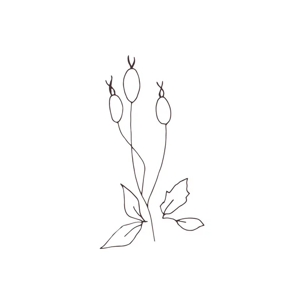 Élément floral vectoriel de Noël — Image vectorielle