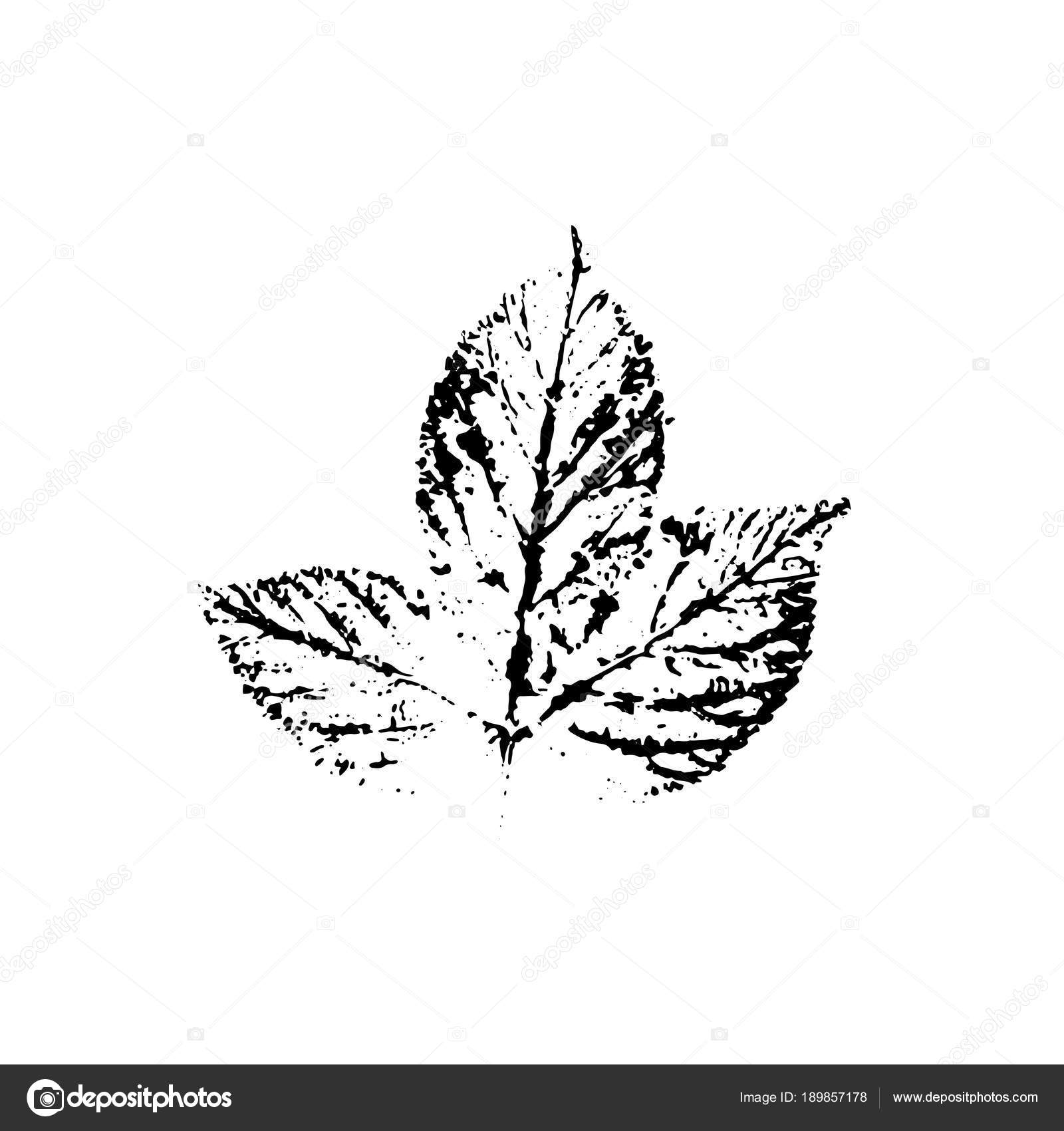 depositphotos 189857178 stock illustration vector leaf imprint