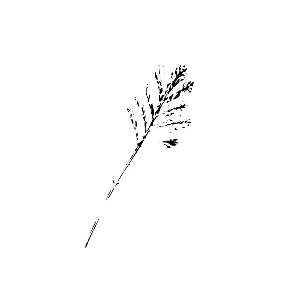 Vector leaf imprint — Stock Vector