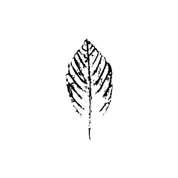 벡터 잎 인쇄물 — 스톡 벡터