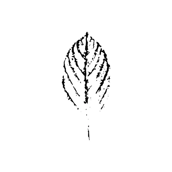 Empreinte des feuilles vectorielles — Image vectorielle