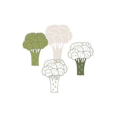 Sebzeler. Vektör eli çizilmiş brokoli. Sağlıklı beslenme, vejetaryenler, vejetaryenler.