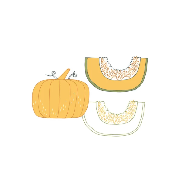 Vector hand drawn pumpkin. Healthy nutrition, vegetarians, vegans. Farm vegetables. — Stock Vector