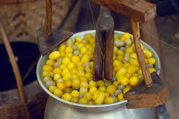 Haşlanmış ipekböceği geleneksel folkways Tayland.