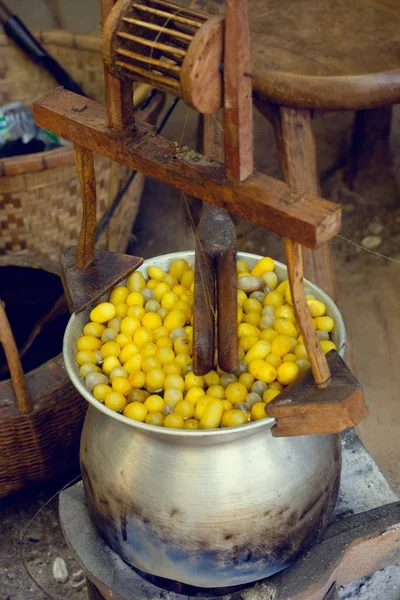 Haşlanmış ipekböceği geleneksel folkways Tayland.