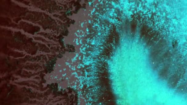 Curlicue des Peintures 