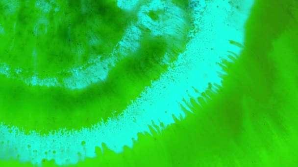 Curlicue des Peintures 