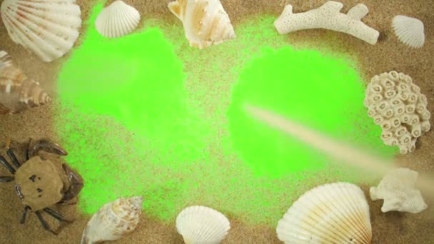 Seashells e areia em uma tela verde — Vídeo de Stock