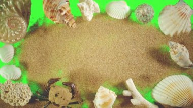 Deniz ve kum üzerinde yeşil bir ekran