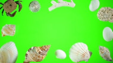 Deniz ve kum üzerinde yeşil bir ekran