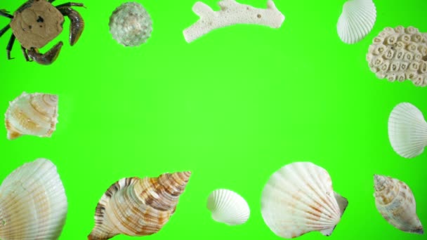 Conchas marinas y arena en una pantalla verde — Vídeos de Stock