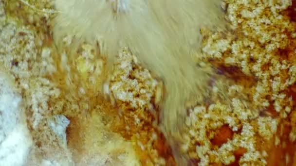 Curlicue des Peintures 