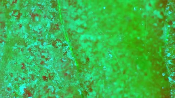 Curlicue des Peintures 