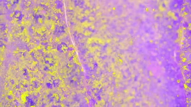 Curlicue des Peintures 