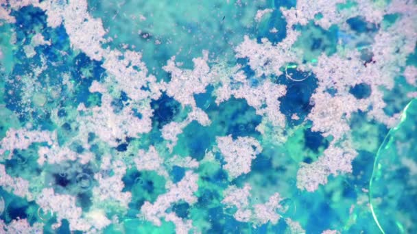 Curlicue des Peintures 