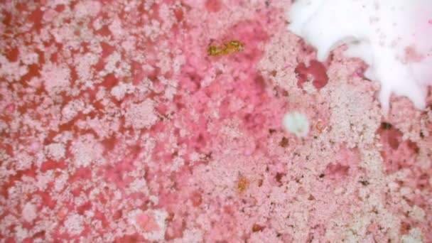 Curlicue des Peintures 