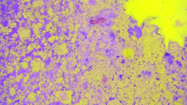 Curlicue des Peintures 