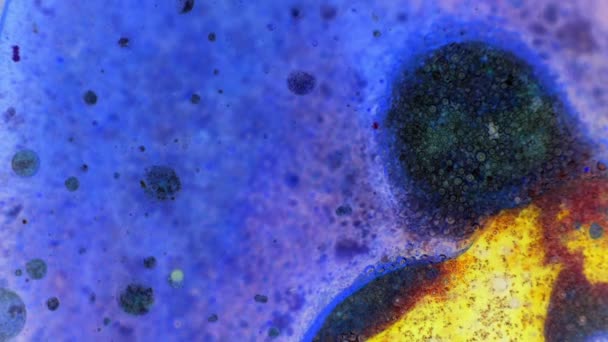 Curlicue des Peintures 